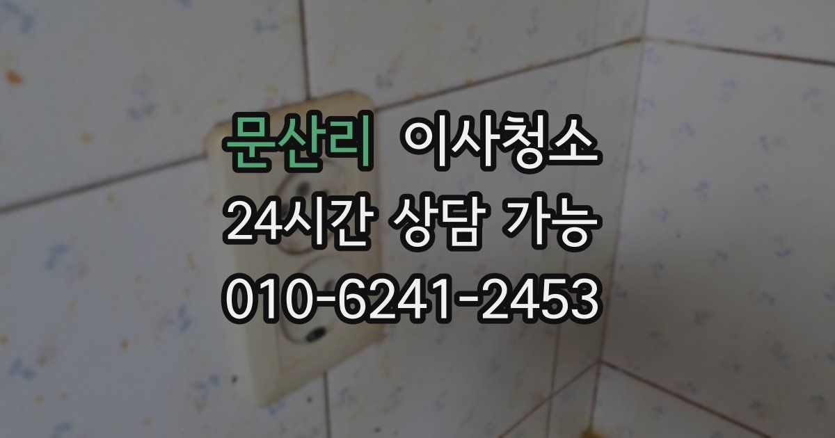 문산리 입주청소