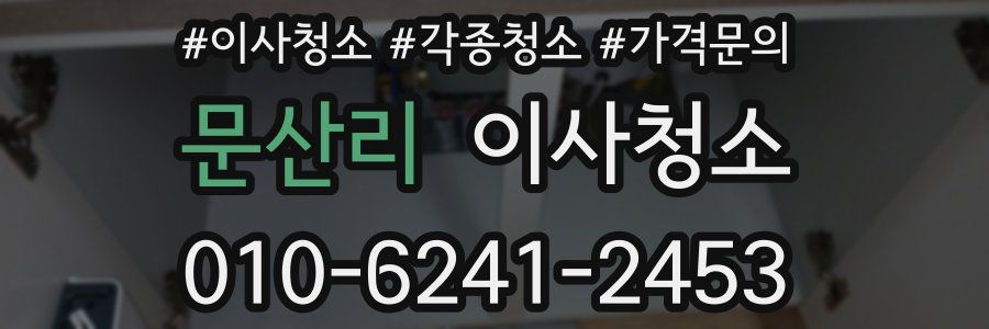 문산리 이사청소