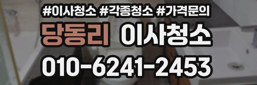 당동리 이사청소