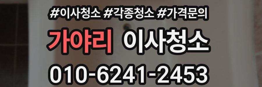 가야리 이사청소