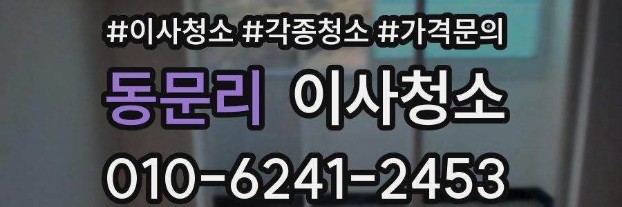 동문리 이사청소