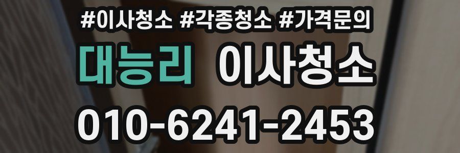 대능리 이사청소