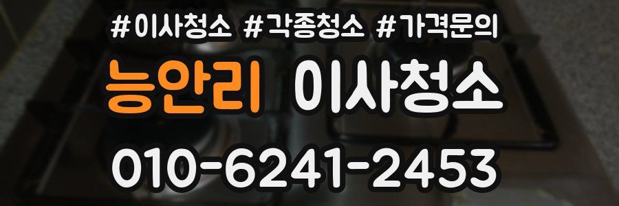 능안리 이사청소