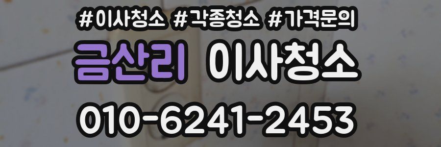 금산리 이사청소