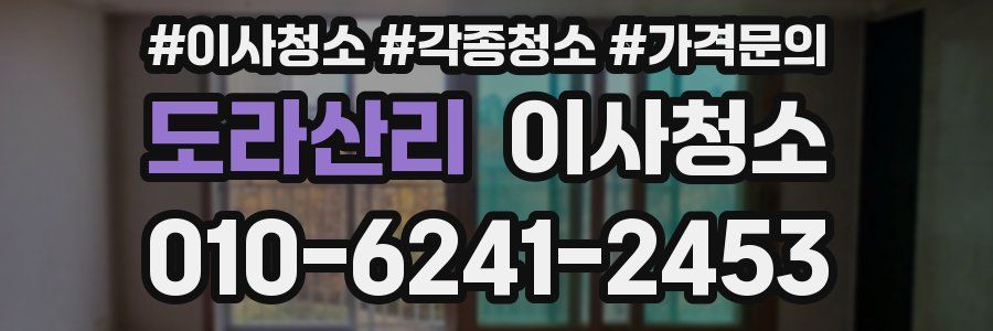 도라산리 이사청소