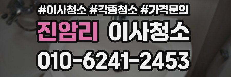 진암리 이사청소