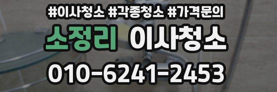 소정리 이사청소