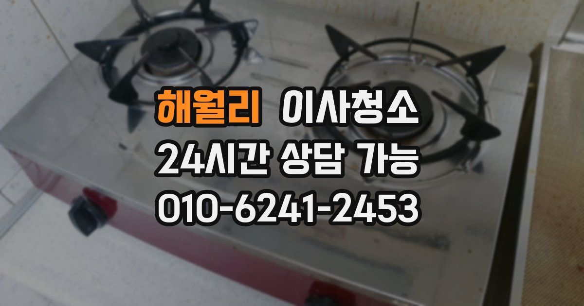 해월리 입주청소