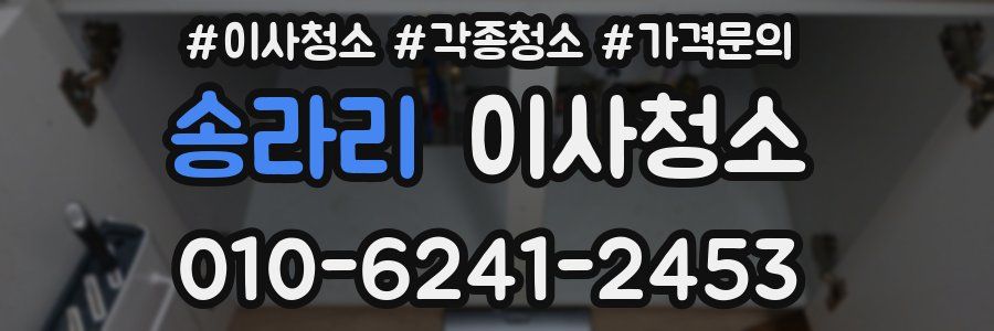 송라리 이사청소