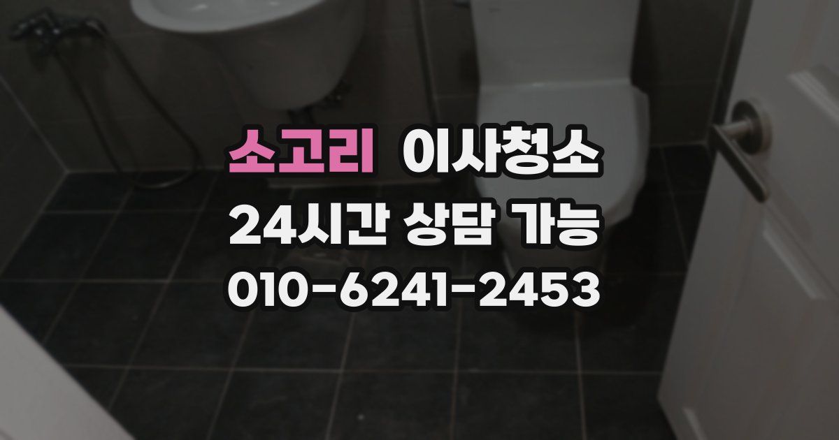 소고리 입주청소