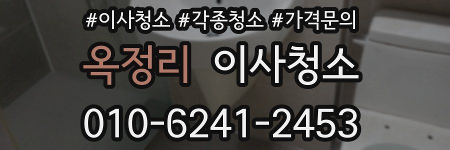 옥정리 이사청소