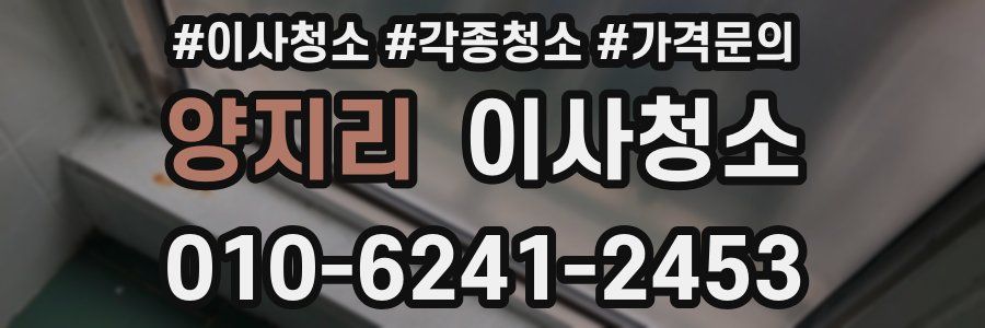 양지리 이사청소