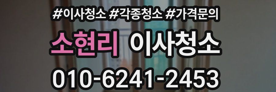 소현리 이사청소