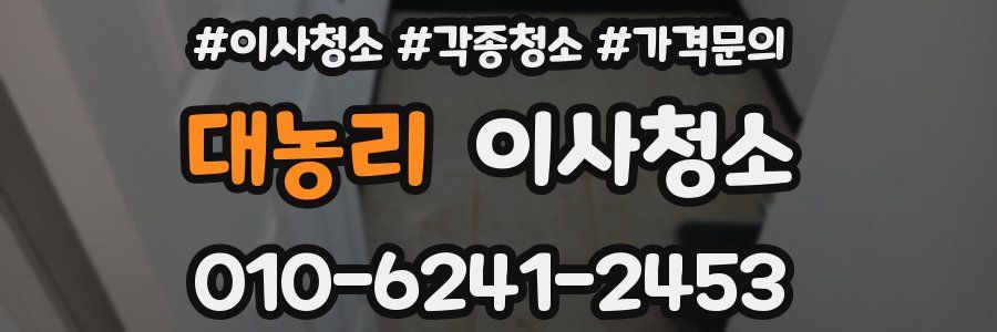 대농리 이사청소