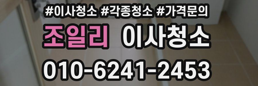 조일리 이사청소