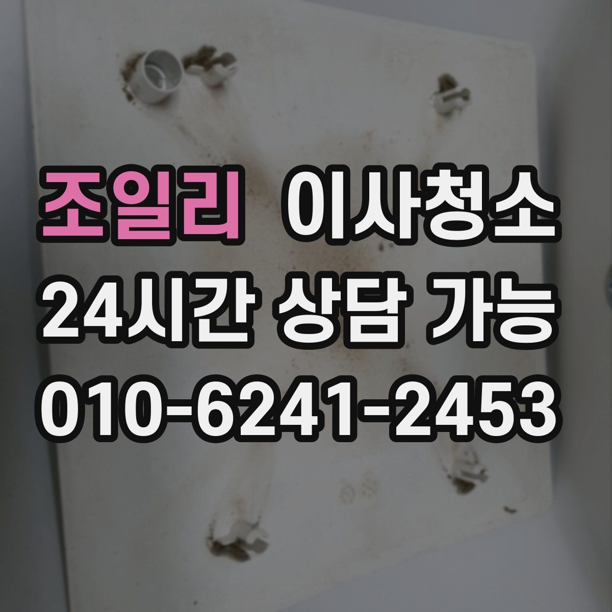 조일리 원룸청소