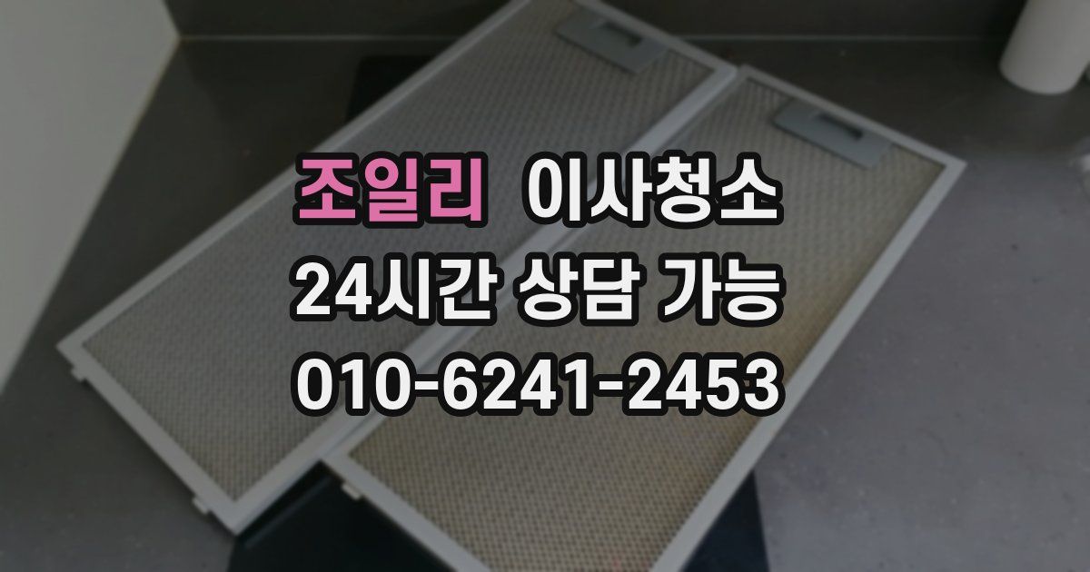 조일리 입주청소