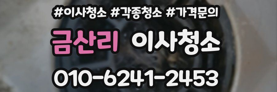 금산리 이사청소