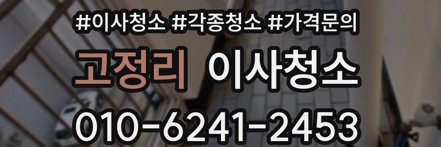 고정리 이사청소