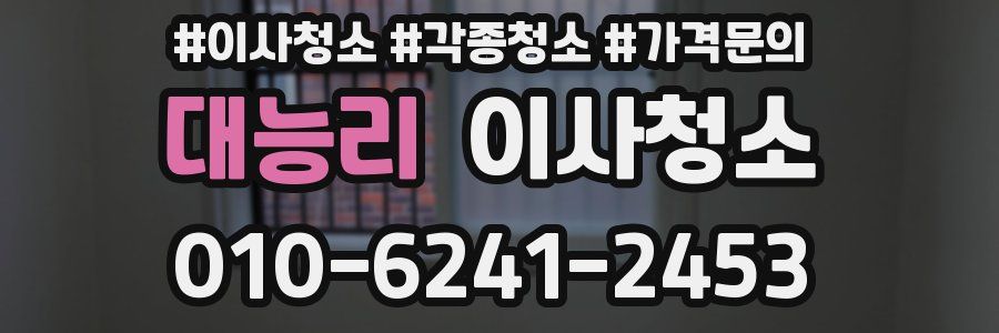 대능리 이사청소