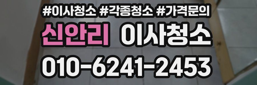 신안리 이사청소