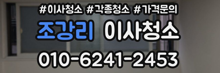 조강리 이사청소