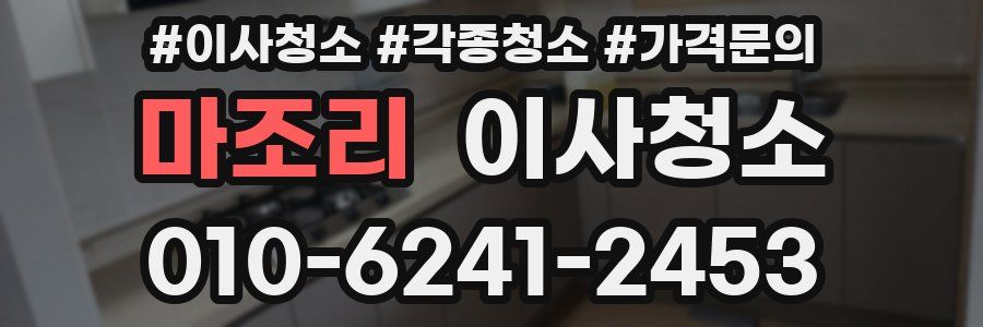 마조리 이사청소