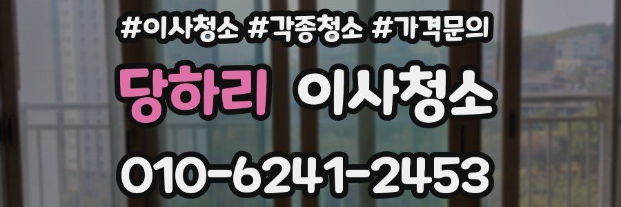 당하리 이사청소