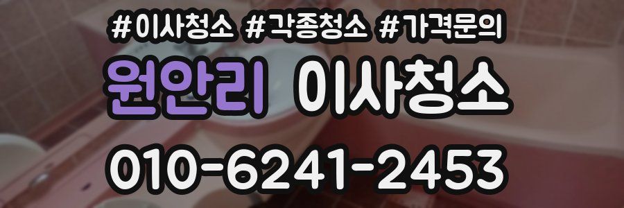 원안리 이사청소