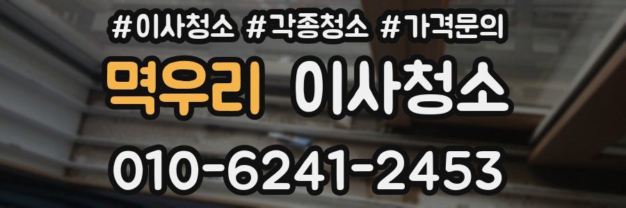 멱우리 이사청소