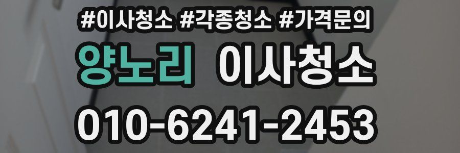 양노리 이사청소