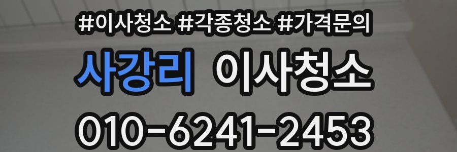 사강리 이사청소