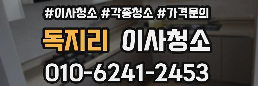 독지리 이사청소