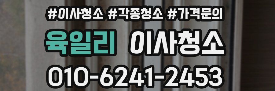 육일리 이사청소