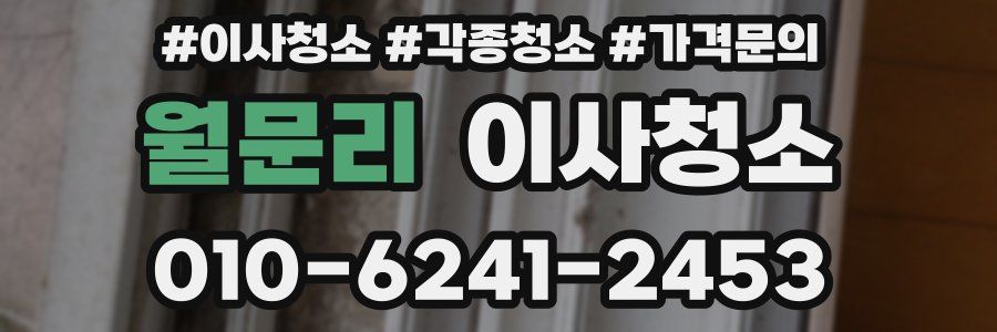 월문리 이사청소
