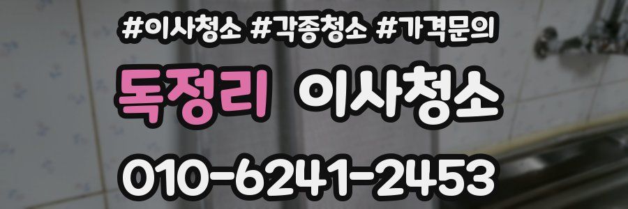 독정리 이사청소