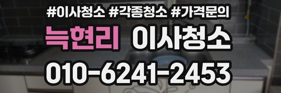 늑현리 이사청소