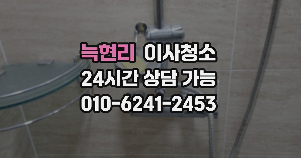 늑현리 입주청소