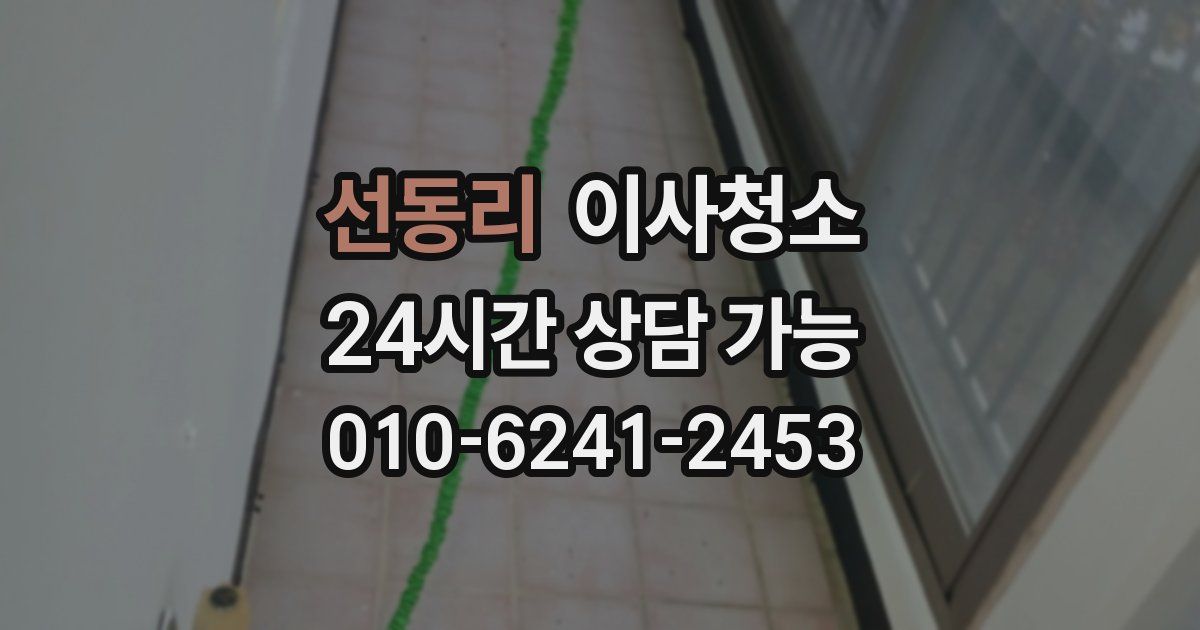 선동리 입주청소