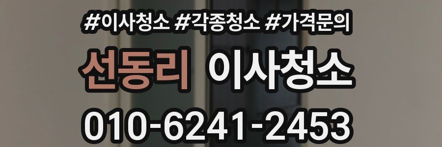 선동리 이사청소