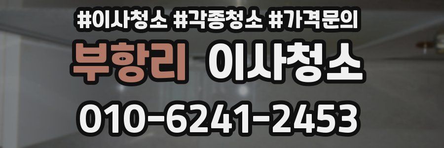 부항리 이사청소