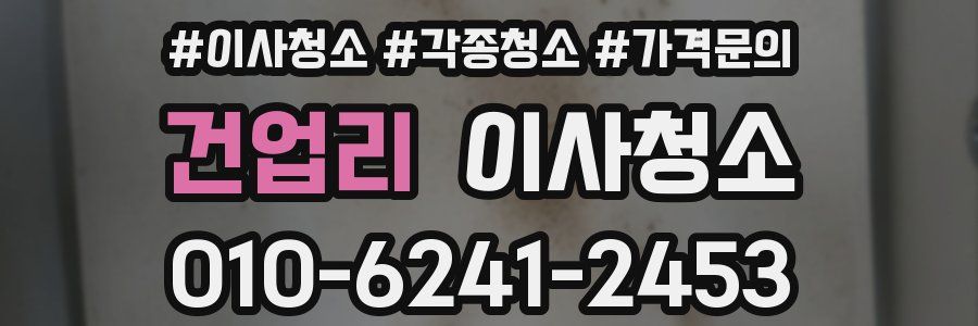 건업리 이사청소