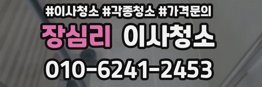 장심리 이사청소