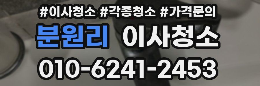 분원리 이사청소