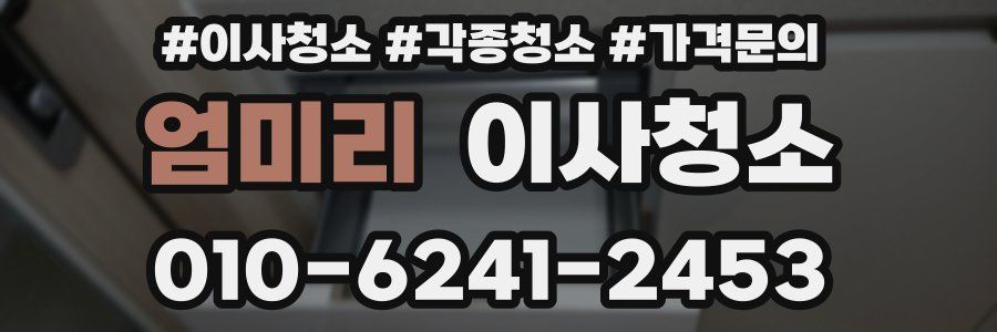 엄미리 이사청소