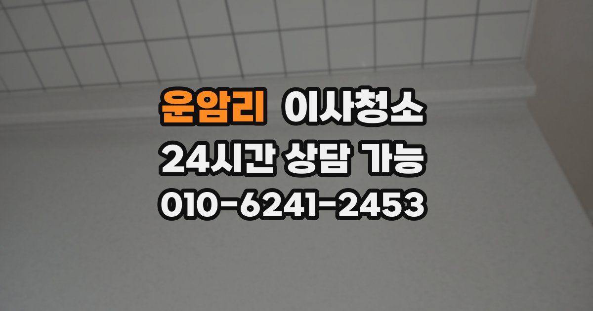 운암리 입주청소