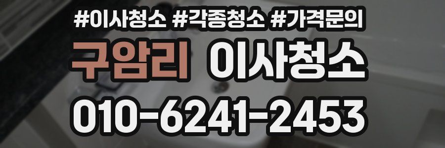 구암리 이사청소