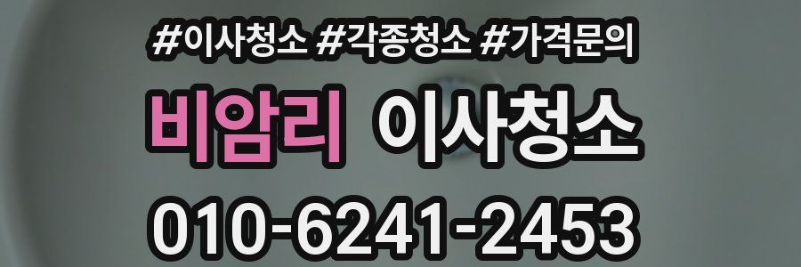 비암리 이사청소