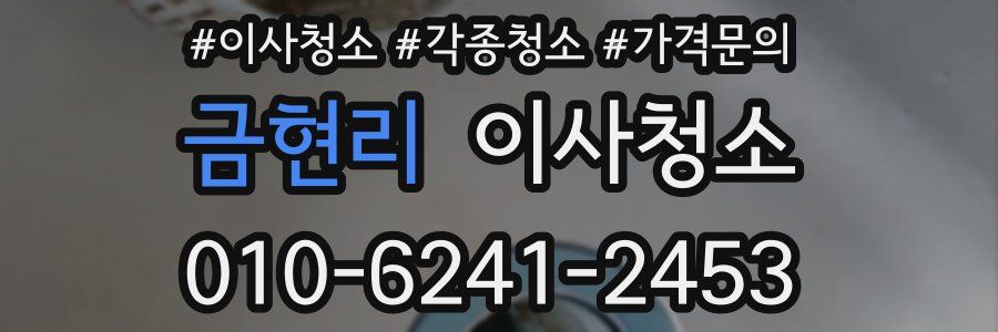 금현리 이사청소