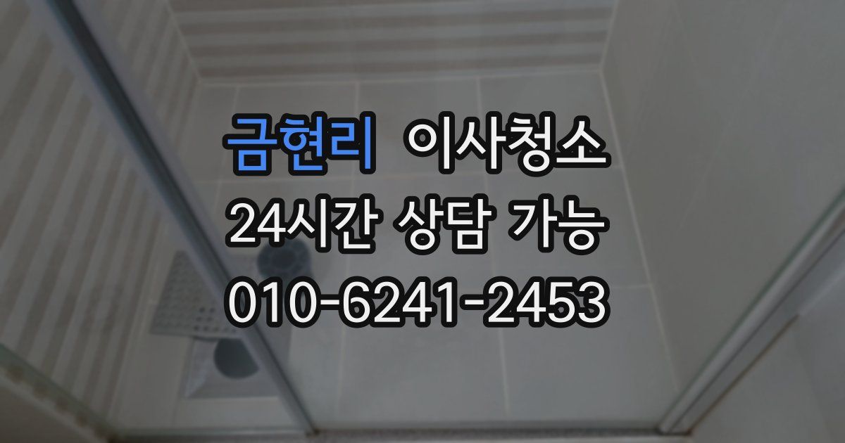 금현리 입주청소